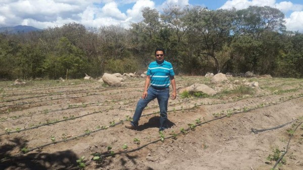 Hermes Alduvín Díaz: 'Corto café, trabajo con el azadón, machete y hacha”