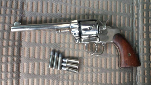 Fusina decomisó 760 plantas de supuesta marihuana en Tocoa, Colón