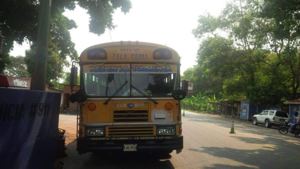 En una caja de televisor llevaba escondida marihuana
