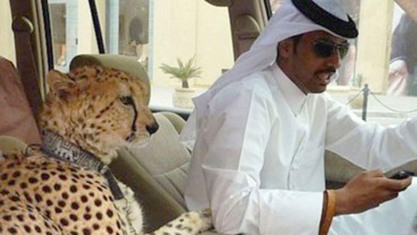 Las excéntricas costumbres de los millonarios de Dubai