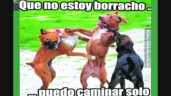 Los Catrachistes: Para morirse de la risa