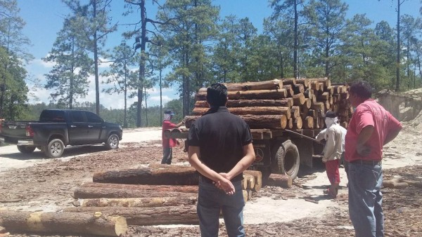 Decomisaron más de 10 mil pies de madera en 2017 en Comayagua