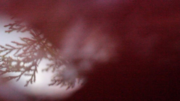 'Frontera”, el pasaporte para purificar sus emociones y liberarse del miedo