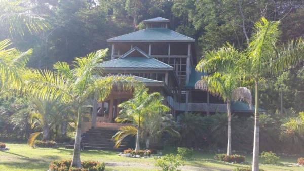 Operación Orca: Aseguran bienes a narco hondureño condenado en EE UU