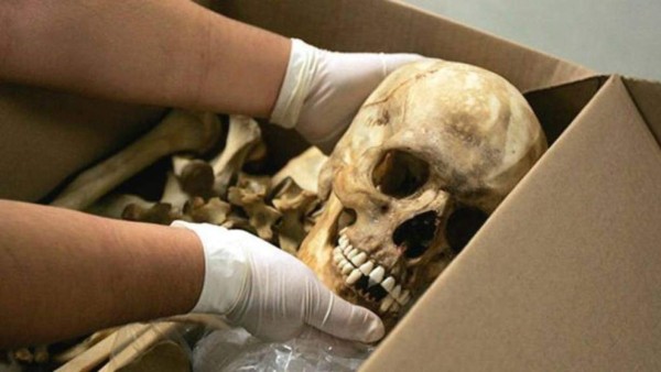 México: Hallan más de 250 cráneos en cementerio clandestino&nbsp;