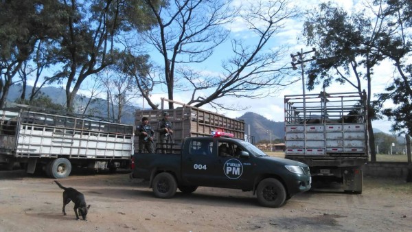 Capturan banda dedicada al robo de ganado en Catacamas, Olancho