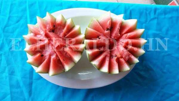 Deliciosa gastronomía ofrece el sur de Honduras en esta termporada