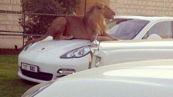 Las excéntricas costumbres de los millonarios de Dubai