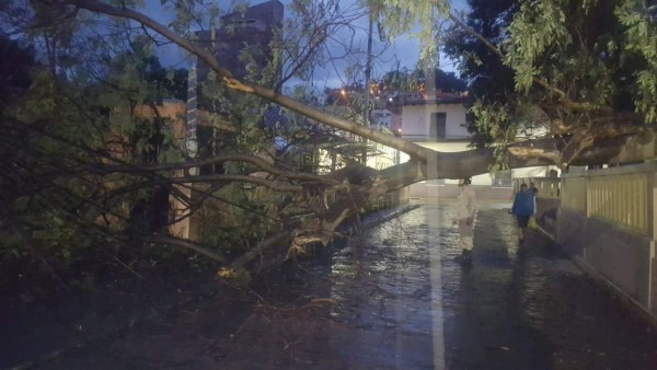 Los daños que causaron las lluvias y fuertes vientos en la capital de Honduras
