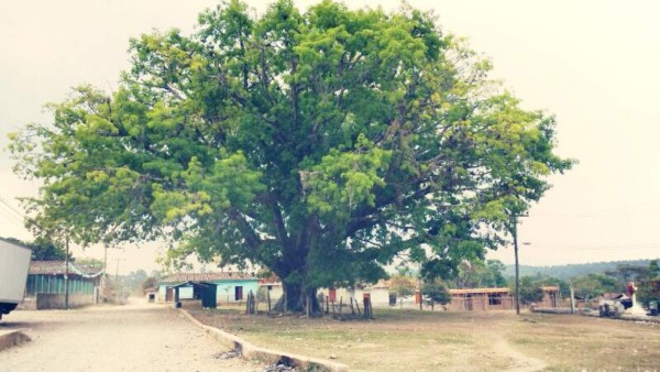 Las Fotos de los Lectores