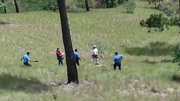 Tegucigalpa: Hallan cuerpo desmembrado en Los Pinos