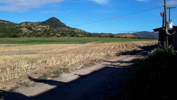 Operación 'Sultán' continúa incautando bienes a miembros de la banda 'Los Pintos'