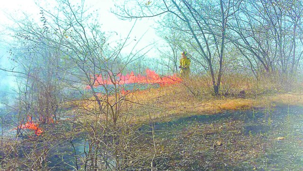 Apenas ocho hidrantes tienen agua día y noche en la capital de Honduras