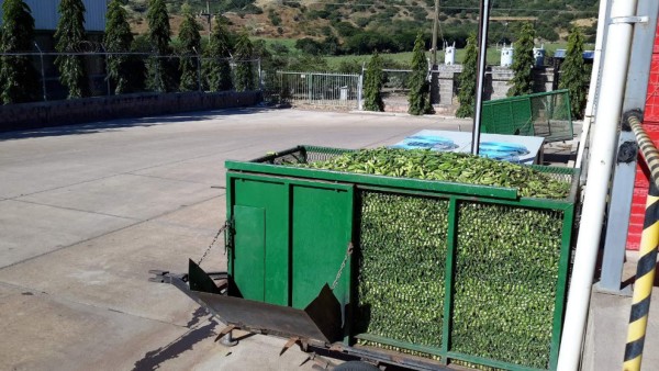 Operación 'Sultán' continúa incautando bienes a miembros de la banda 'Los Pintos'