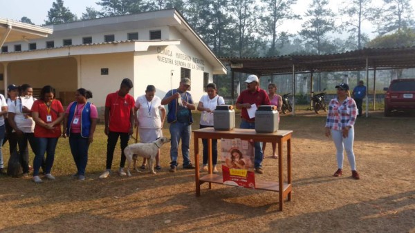 Así inició la jornada de vacunación de perros y gatos en Honduras