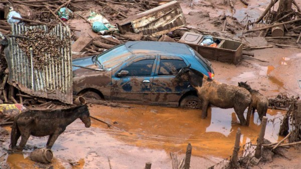 OEA envió condolencias al gobierno de Brasil tras mortal deslave