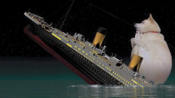 Ni los perros se salvan de la creatividad de las personas con el Photoshop