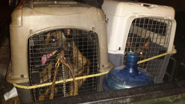 Intervenido Centro de Rehabilitación de Menores El Carmen en SPS&nbsp;&nbsp;&nbsp;