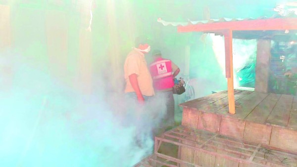 Planifican más fumigaciones