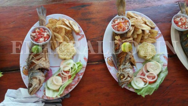 Deliciosa gastronomía ofrece el sur de Honduras en esta termporada
