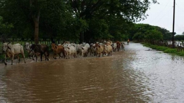Honduras: Copeco extiende alerta verde a once de los 18 departamentos del país