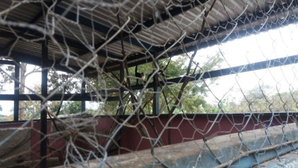 Decomisan arsenal e indumentaria militar a cuatro personas detenidas en Ajuterique