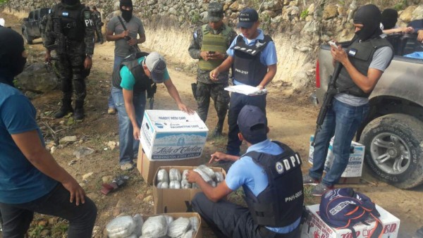 Decomisan 200 libras de supuesta marihuana en operativo en Lempira