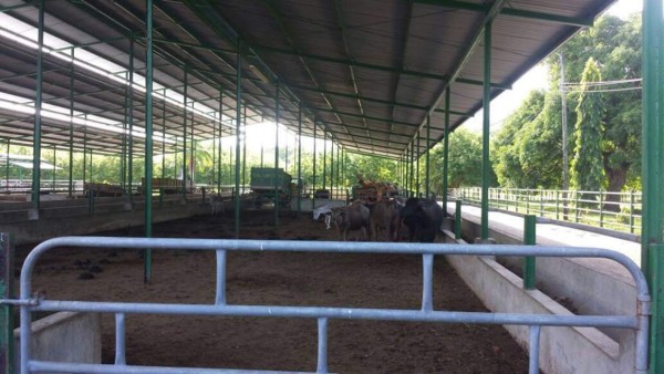 Operación Orca: Aseguran bienes a narco hondureño condenado en EE UU