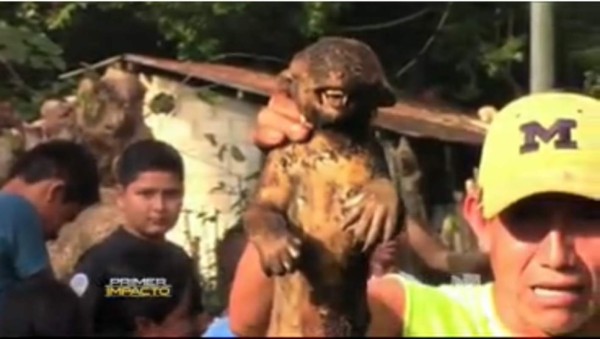 Queman a un animal en peligro de extinción al creer que era 'chupacabras”