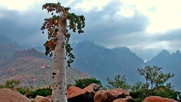 Descubre la 'isla alienígena' en la Tierra&nbsp;&nbsp;