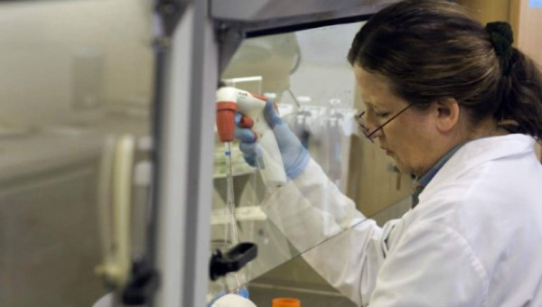 La hepatitis B es una enfermedad antigua, confirma estudio&nbsp;