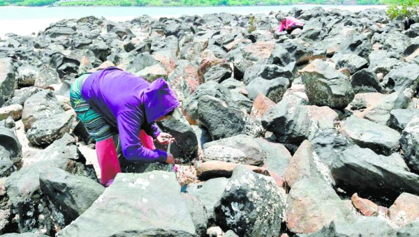 Mujeres marisqueras revalorizan recursos del Golfo de Fonseca