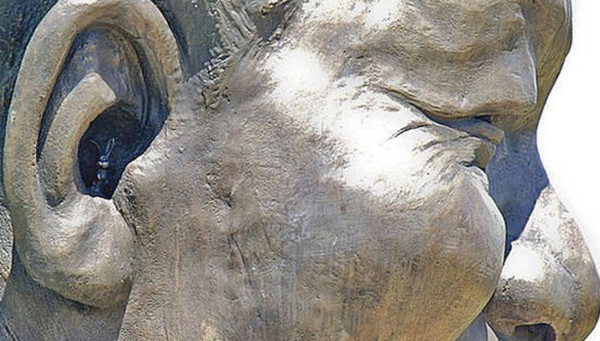 Conejo habita en la oreja de la estatua de mandela