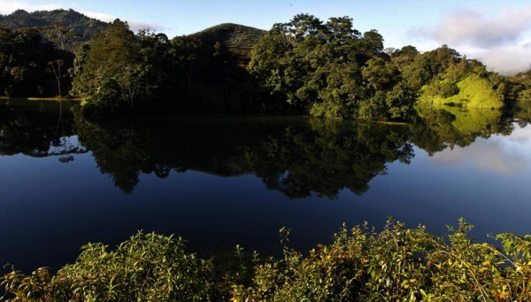 Las Fotos de la Semana