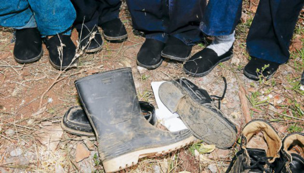 EL HERALDO impulsa camino profesional de estudiantes