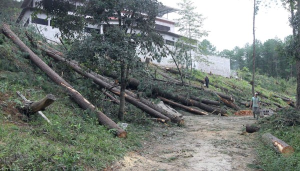 Sequía y ola de calor generará la devastación de la principal fuente de agua