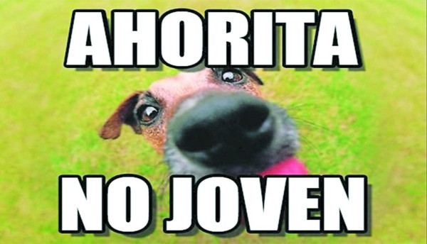 Los Catrachistes: Para morirse de la risa