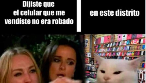 Los memes más graciosos del gato en la mesa y la mujer gritando