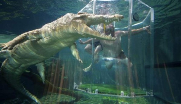 Australiano le propone matrimonio a su novia en una jaula con cocodrilos y pierde el anillo