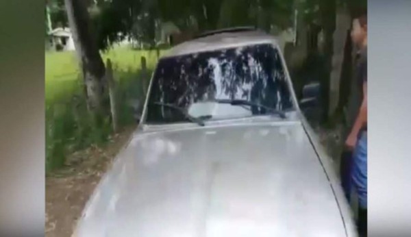 Nueve claves para entender crisis en la Universidad Nacional de Agricultura