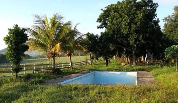 Allanan vivienda del alcalde de Yoro por sospechas de narcotráfico