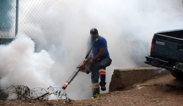 El Salvador declara alerta nacional contra mosquito Aedes aegypti