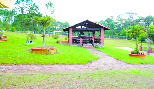 Honduras: Juzgado ordena 'cacería” a toda la fortuna de Mario Zelaya