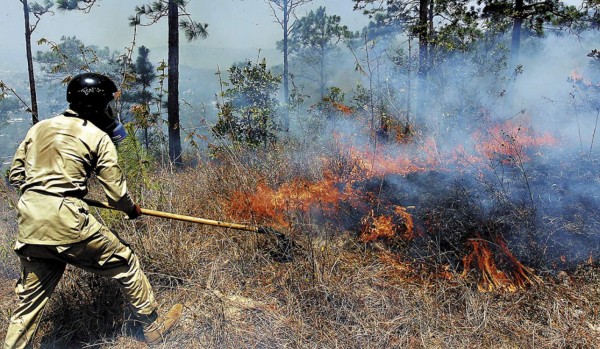 Incendios consumen reserva forestal de la ciudad