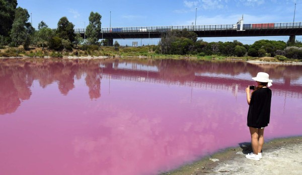 FOTOS: El extraño lago rosado que se ha convertido en un atractivo turístico en Australia