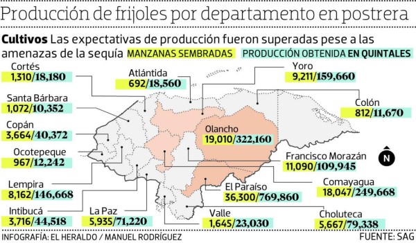 El 50% de la demanda de frijol cubrirán El Paraíso y Olancho