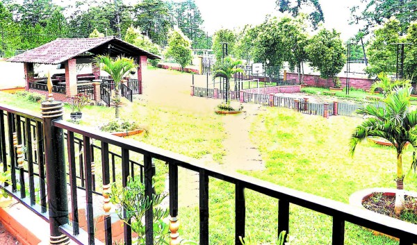 Esposos acumularon 100 millones de lempiras con fraude al IHSS