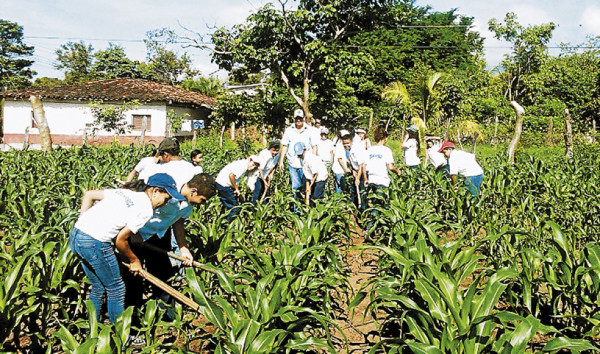 Labores agrícolas y 200 días de clases distinguen a la escuela Froylán Turcios
