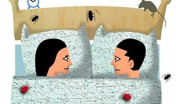 Las cucarachas duermen a tu lado
