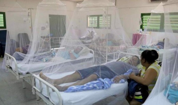 Paraguay reporta 16 muertes por dengue&nbsp;&nbsp;